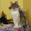 Отзыв от Василиса Кудрявцева